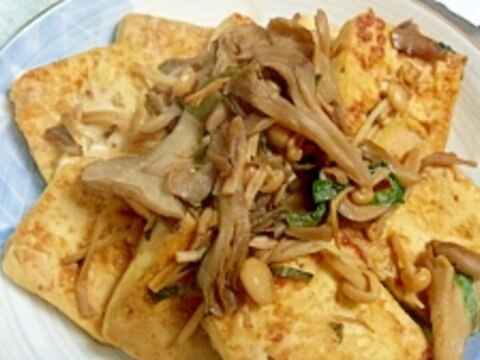 自家製焼き豆腐の塩麹きのこがけ